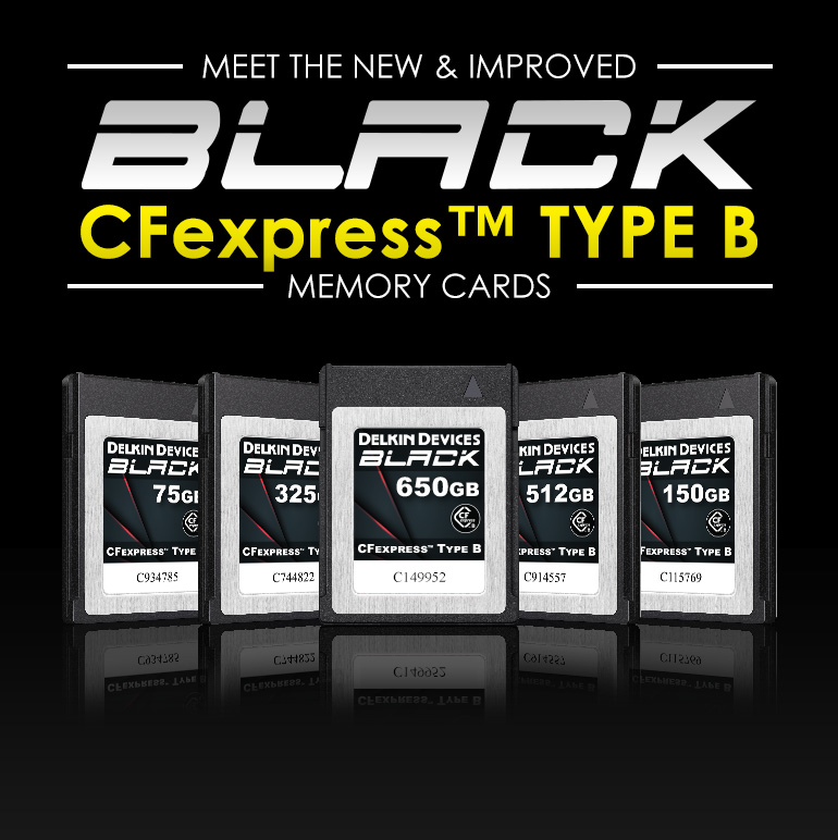 CFexpress™ Type B Memory Cards - Delkin Devices